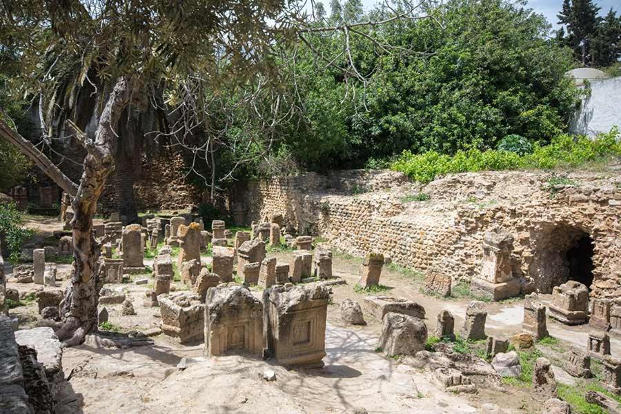 Dar Mayya La Marsa Exteriör bild